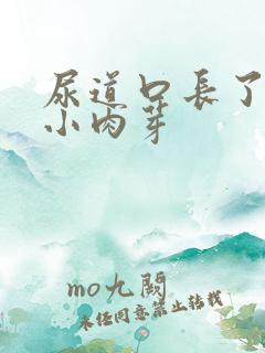 尿道口长了一排小肉芽