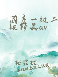 国产一级二级三级精品av