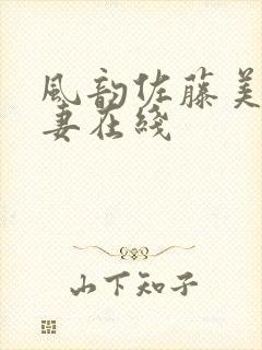 风韵佐藤美纪人妻在线