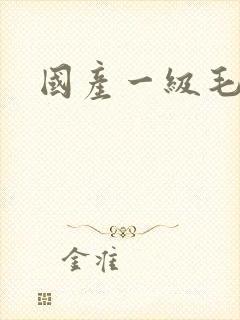 国产一级毛逼片