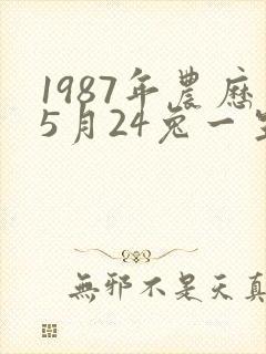 1987年农历5月24兔一生命运