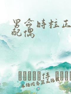 男命时柱正财看配偶