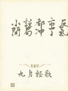 小说都市反派:开局冲了气运女主