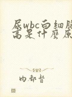 尿wbc白细胞高是什么原因