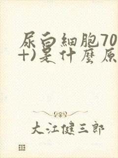 尿白细胞70(+)是什么原因