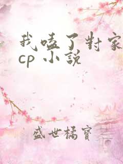 我嗑了对家我的cp 小说