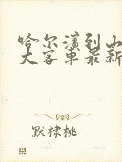 哈尔滨到山河屯大客车最新时间表