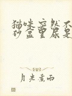 猫咪突然不在猫砂盆里尿是什么原因