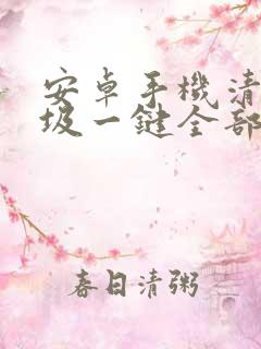 安卓手机清理垃圾一键全部清除