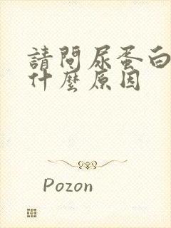 请问尿蛋白高是什么原因