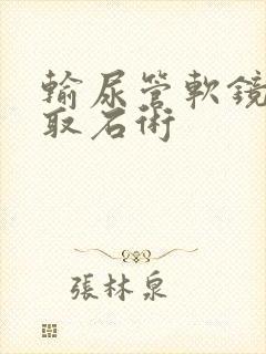 输尿管软镜排石取石术