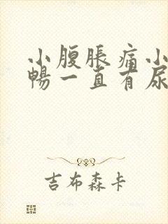 小腹胀痛小便不畅一直有尿感