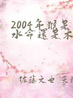 2004年猴是水命还是木命