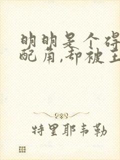 明明是个碍事的配角,却被王子给宠爱了动漫