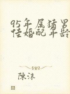 95年属猪男最佳婚配年龄