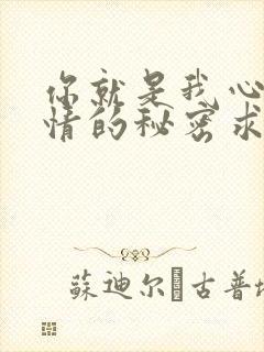 你就是我心中爱情的秘密求歌名