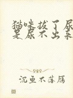 猫咪拔了尿管还是尿不出来怎么办