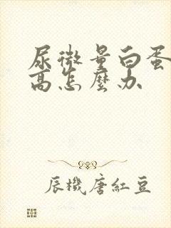 尿微量白蛋白升高怎么办