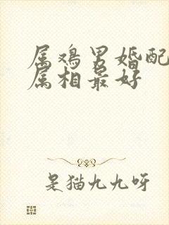 属鸡男婚配哪个属相最好