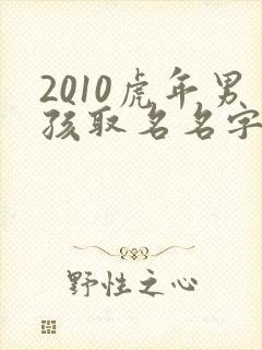 2010虎年男孩取名名字大全