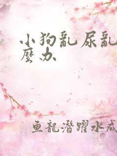 小狗乱尿乱拉怎么办