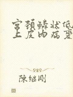 宫颈鳞状低级别上皮内病变