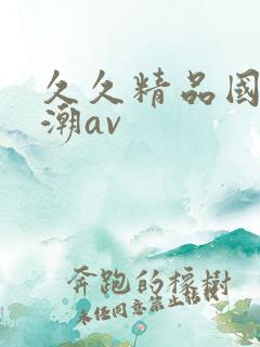 久久精品国产高潮av