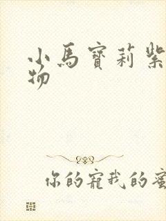 小马宝莉紫悦人物