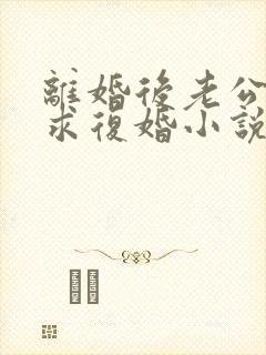 离婚后老公总是求复婚小说免费阅读