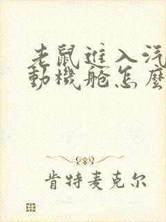 老鼠进入汽车发动机舱怎么办啊