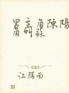 男主角陈阳女主角叫苏