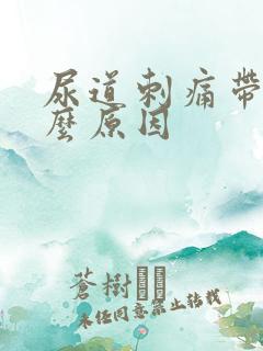 尿道刺痛带血什么原因