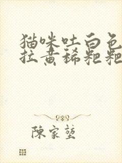 猫咪吐白色泡沫拉黄稀粑粑