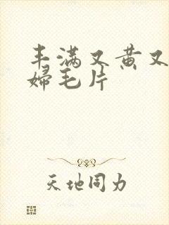 丰满又黄又爽少妇毛片