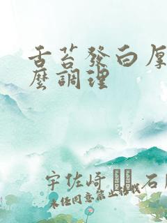 舌苔发白厚腻怎么调理