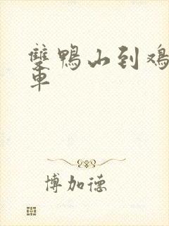 双鸭山到鸡西客车