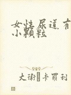 女性尿道有很多小颗粒