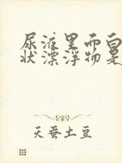 尿液里面白色絮状漂浮物是什么