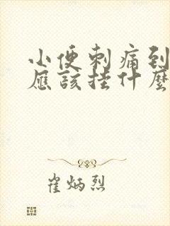 小便刺痛到医院应该挂什么科