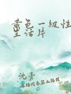 黄色一级性夫妻生活片