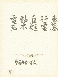 电动自行车电池充不进电怎么修复