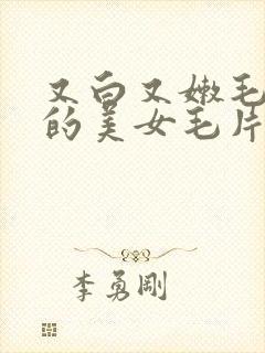 又白又嫩毛又多的美女毛片