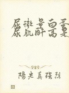 尿微量白蛋白/尿肌酐高是什么意思