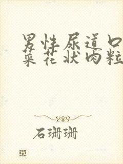 男性尿道口长出菜花状肉粒