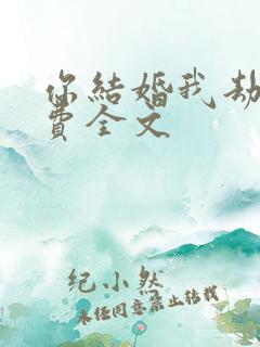你结婚我劫婚免费全文