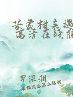 苦尽柑来遇见你 高清在线观看