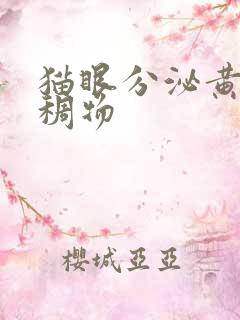 猫眼分泌黄色粘稠物