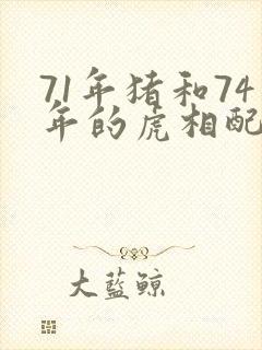 71年猪和74年的虎相配吗