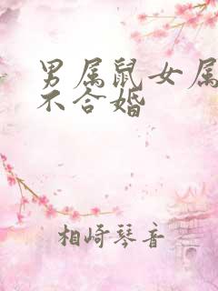 男属鼠女属羊合不合婚