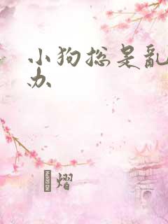 小狗总是乱尿咋办